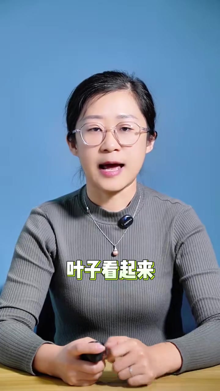 什么样的野菜有毒#悦动生活季#