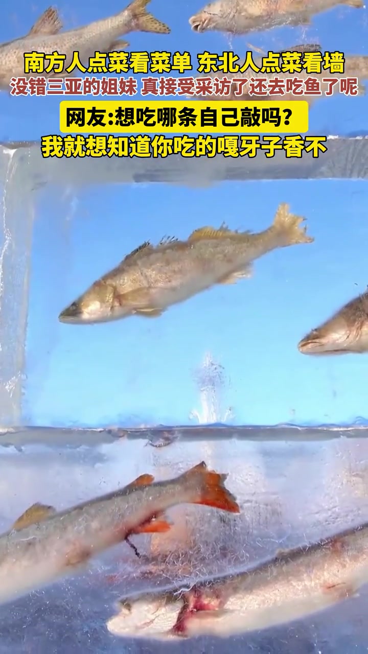 「龙江县融」黑龙江同江：冰冻鱼墙成了点菜墙