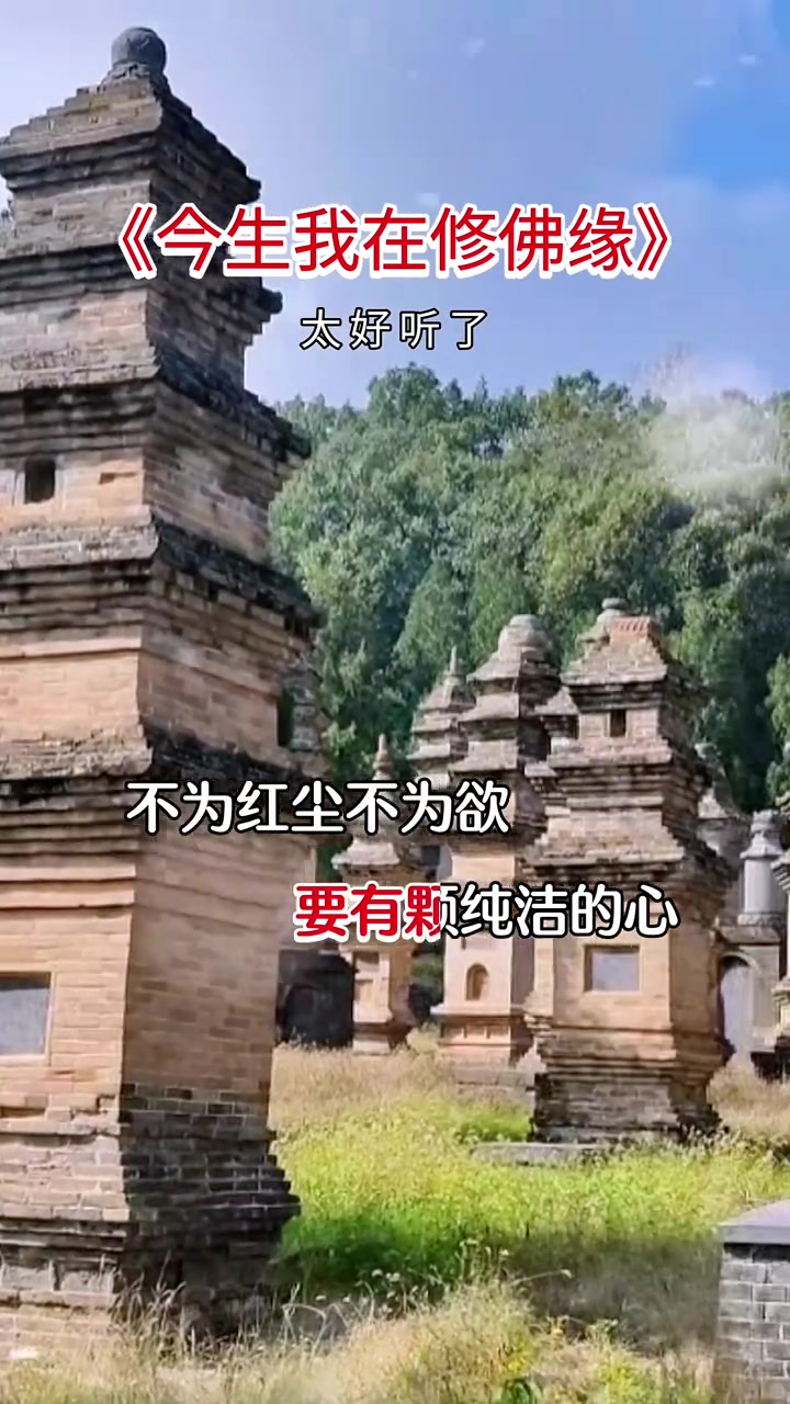 嵩山少林寺塔林！一首好听的佛歌分享给大家你喜欢吗？
