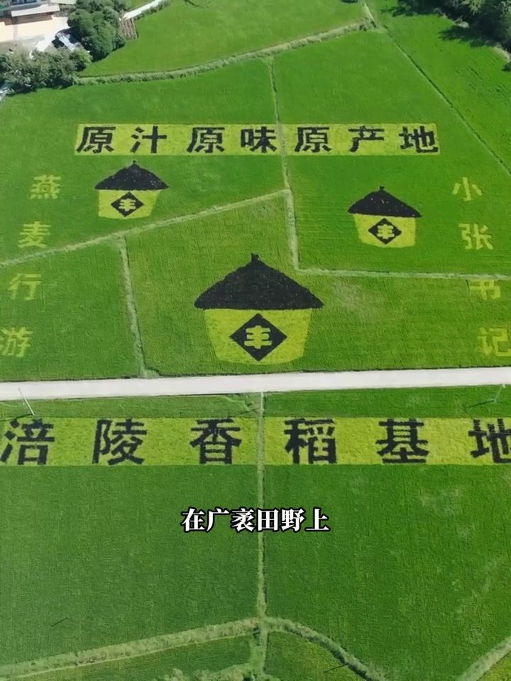 “坪上粮仓”“鱼米之乡”你知道是涪陵哪里吗？