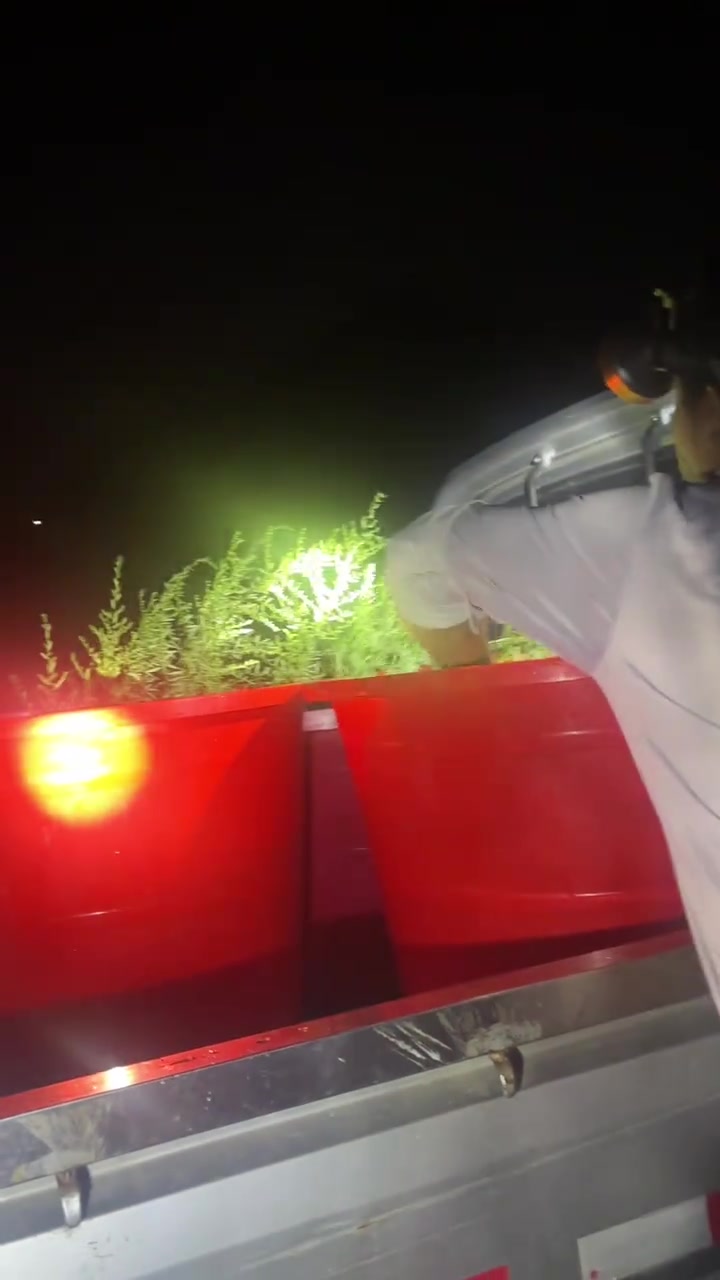 你们那里今年稻花鱼卖多少钱一斤