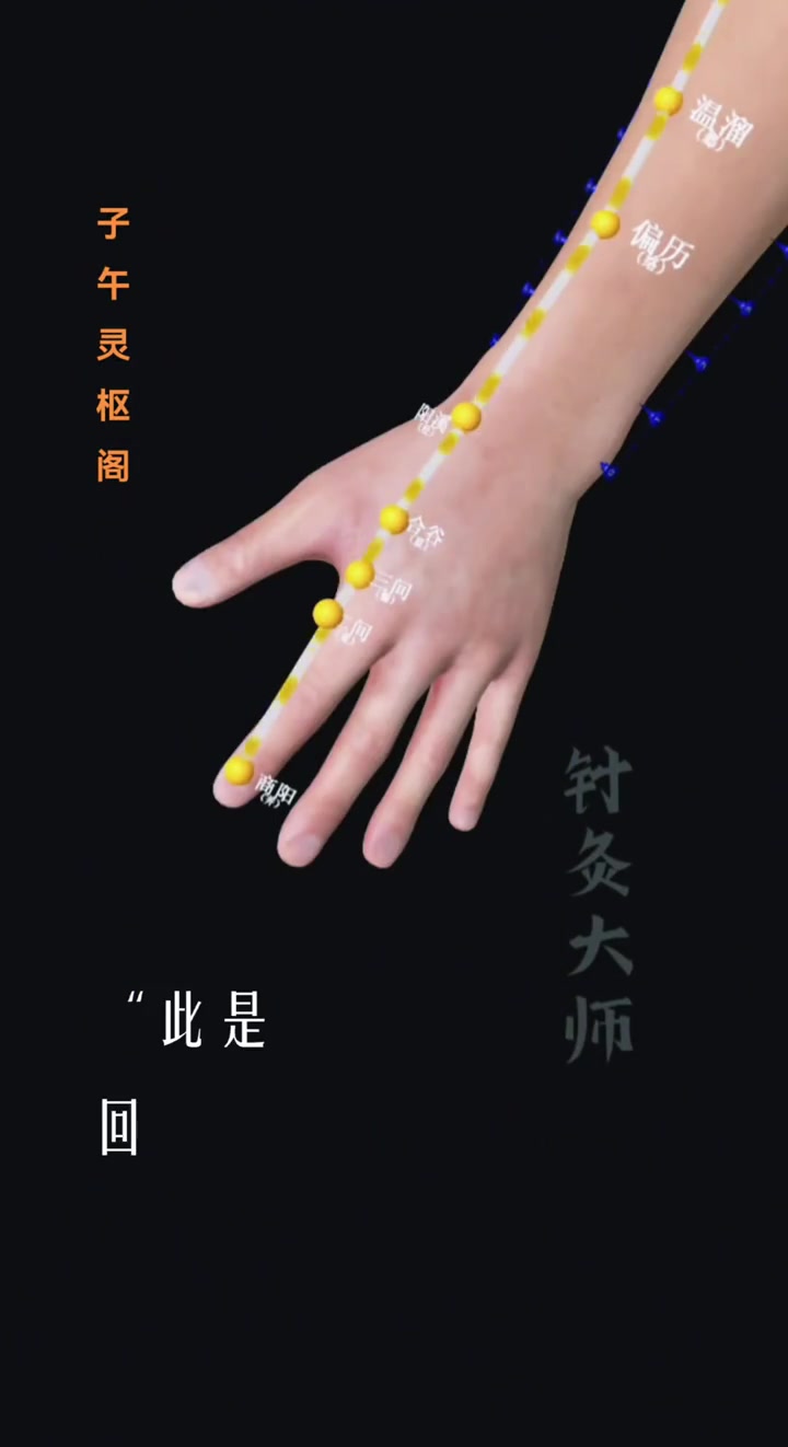 回阳九针歌诀的记忆方法#悦动生活季#
