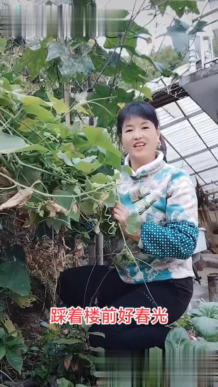 自己种的纯天然的绿色蔬菜