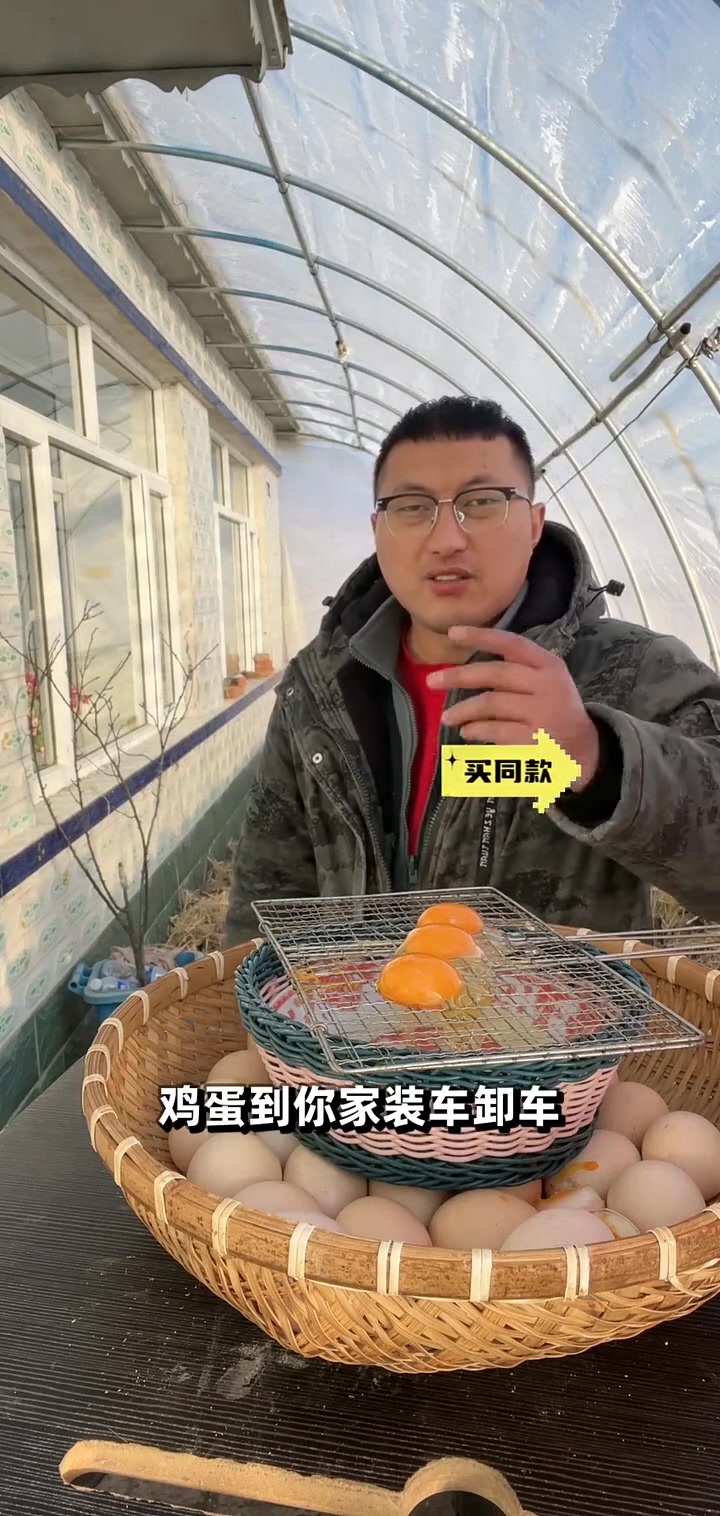 鸡蛋一拿就晃?别担心!运输过程有这些秘密,新鲜度全在这!