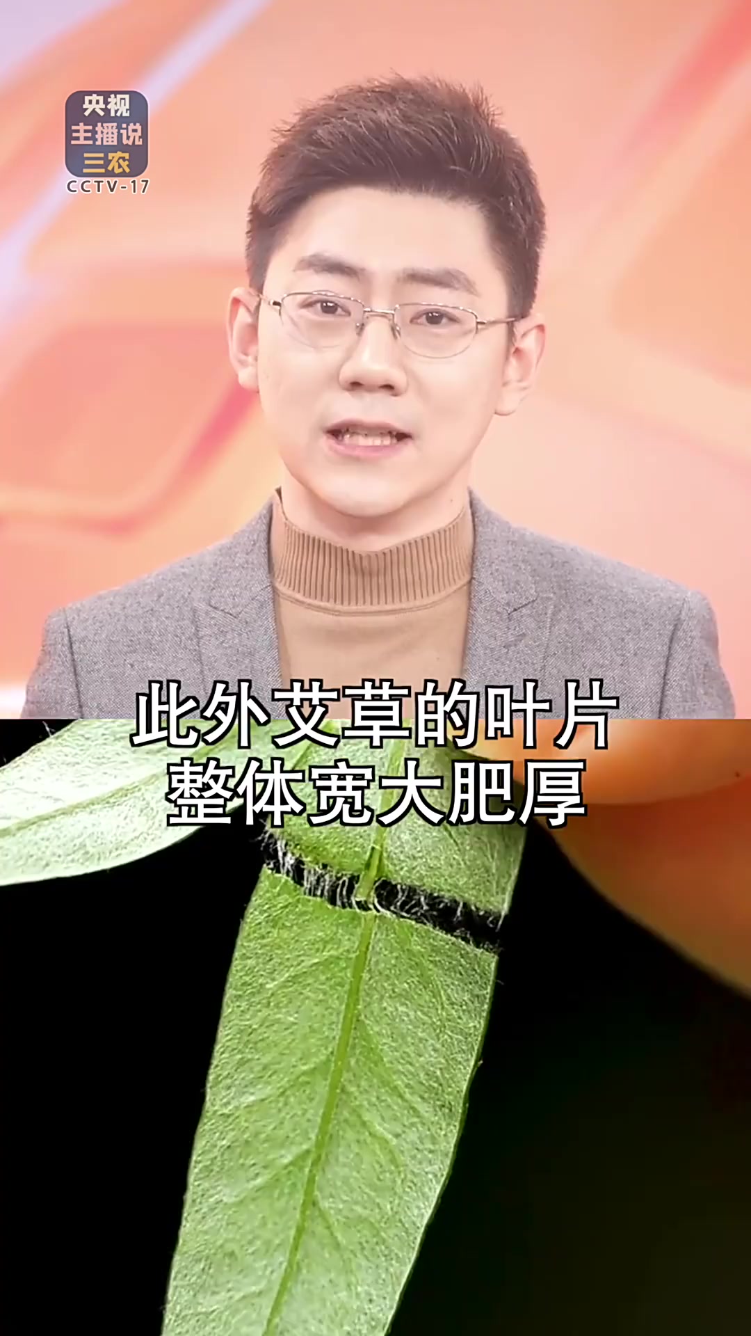 建议转发家族群！容易误食的有毒植物合集（二）