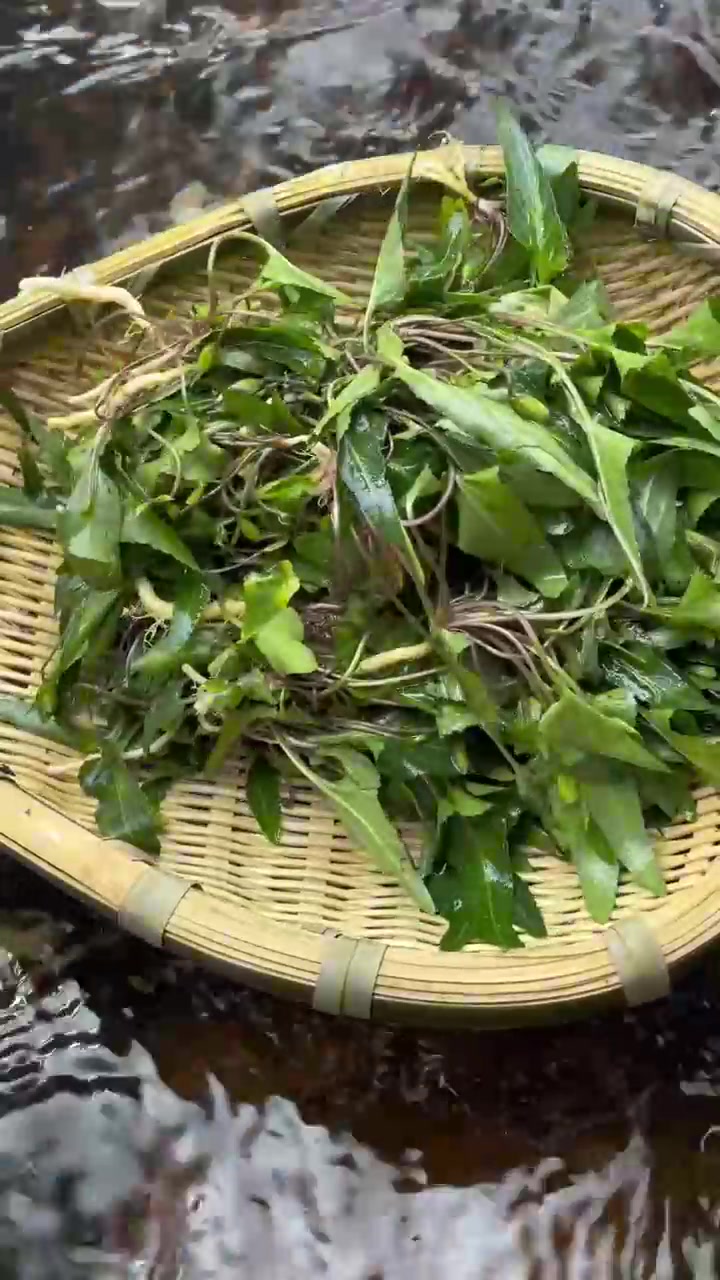 春天是野炊的好季节，紫丁菜在春天非常好吃！