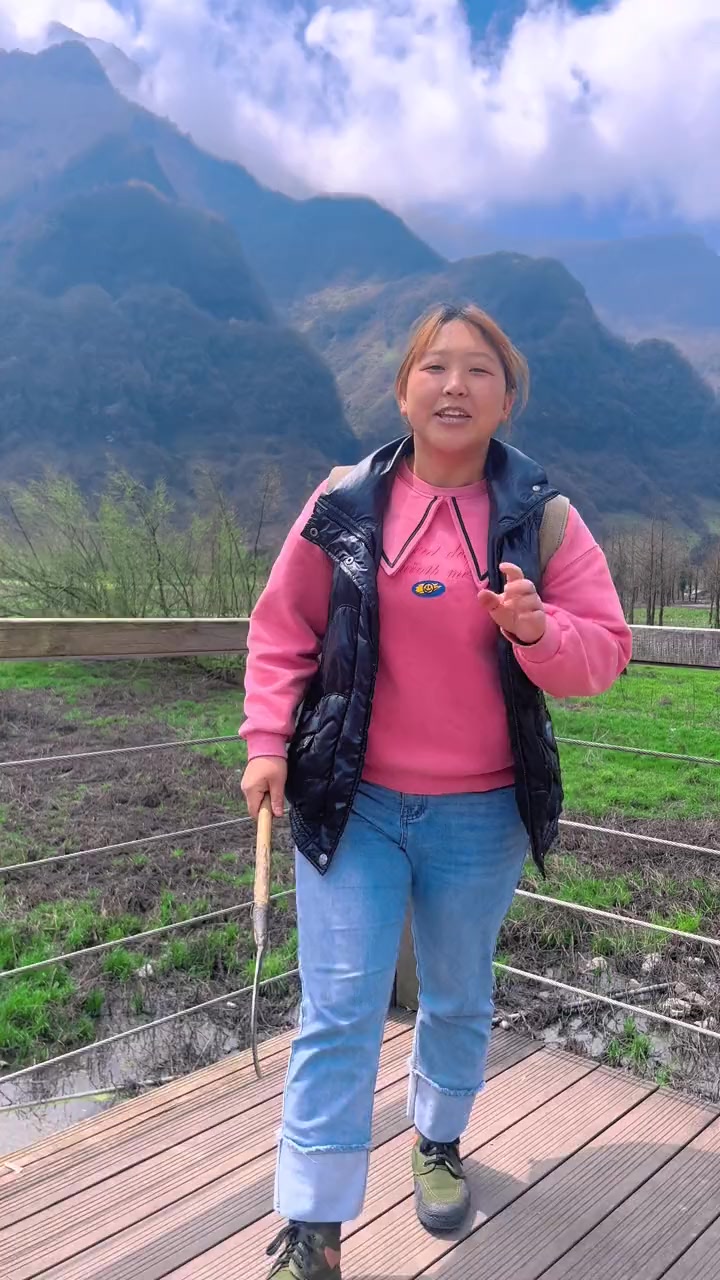 搬刺嫩芽,采羊肚菌,山上的各种野菜摘到你手软
