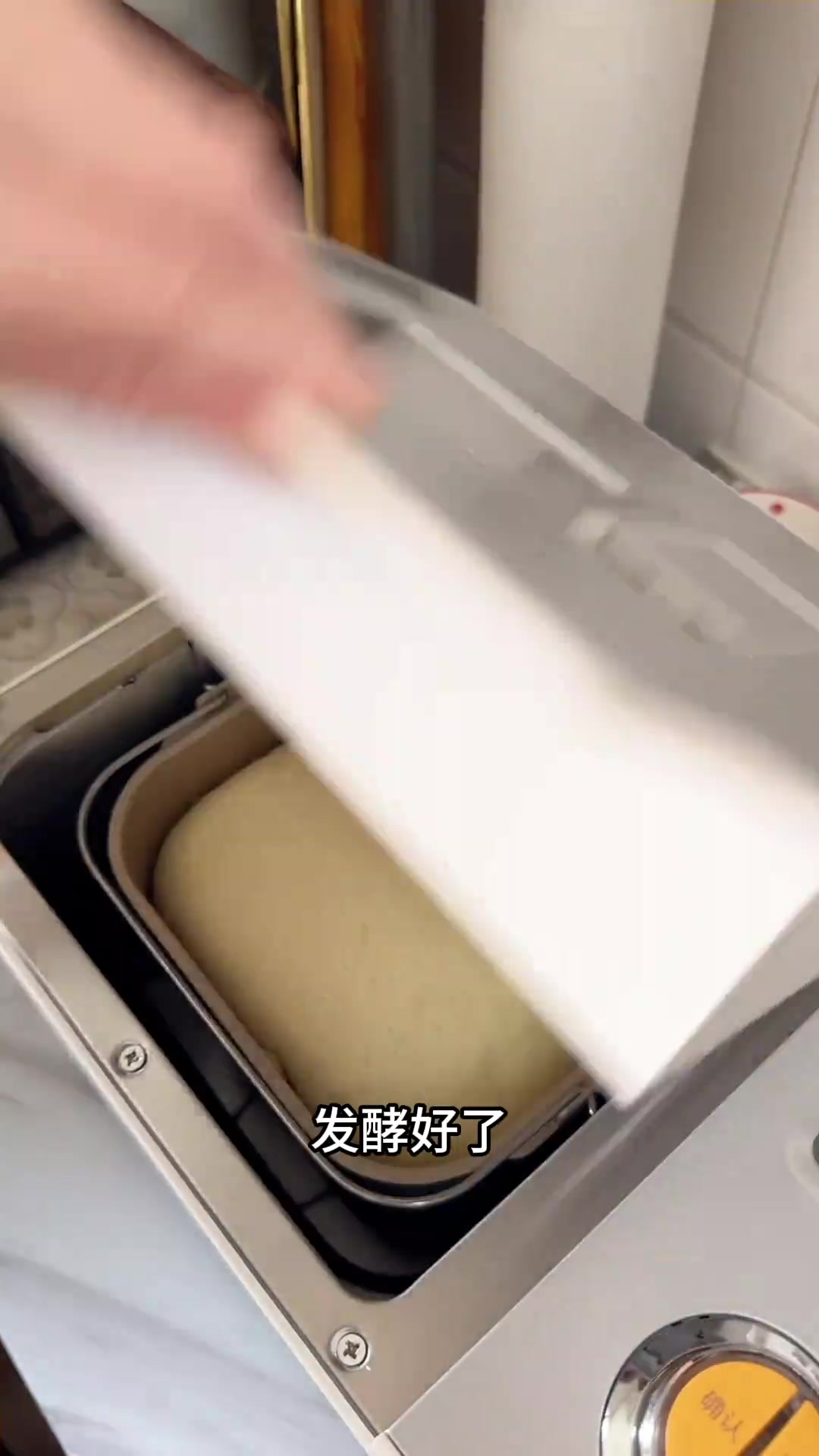 用东菱无糖面包机在家做美食