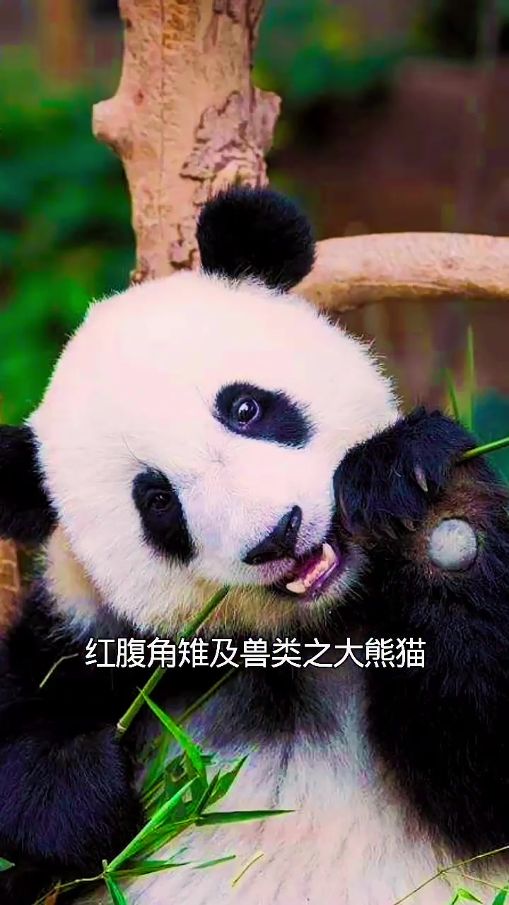陕西宝鸡太白山,开启绝美自然风光之旅