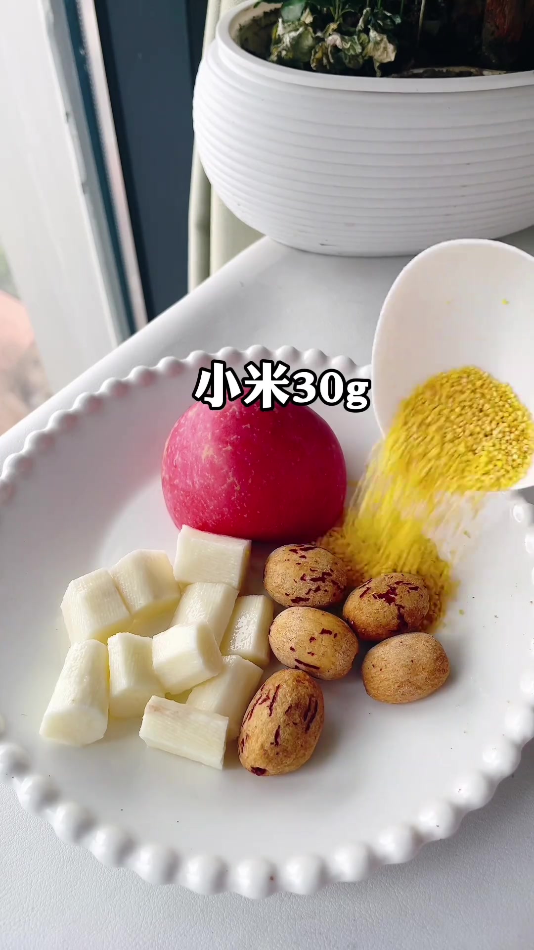 早餐破壁机豆浆五谷杂粮搭配