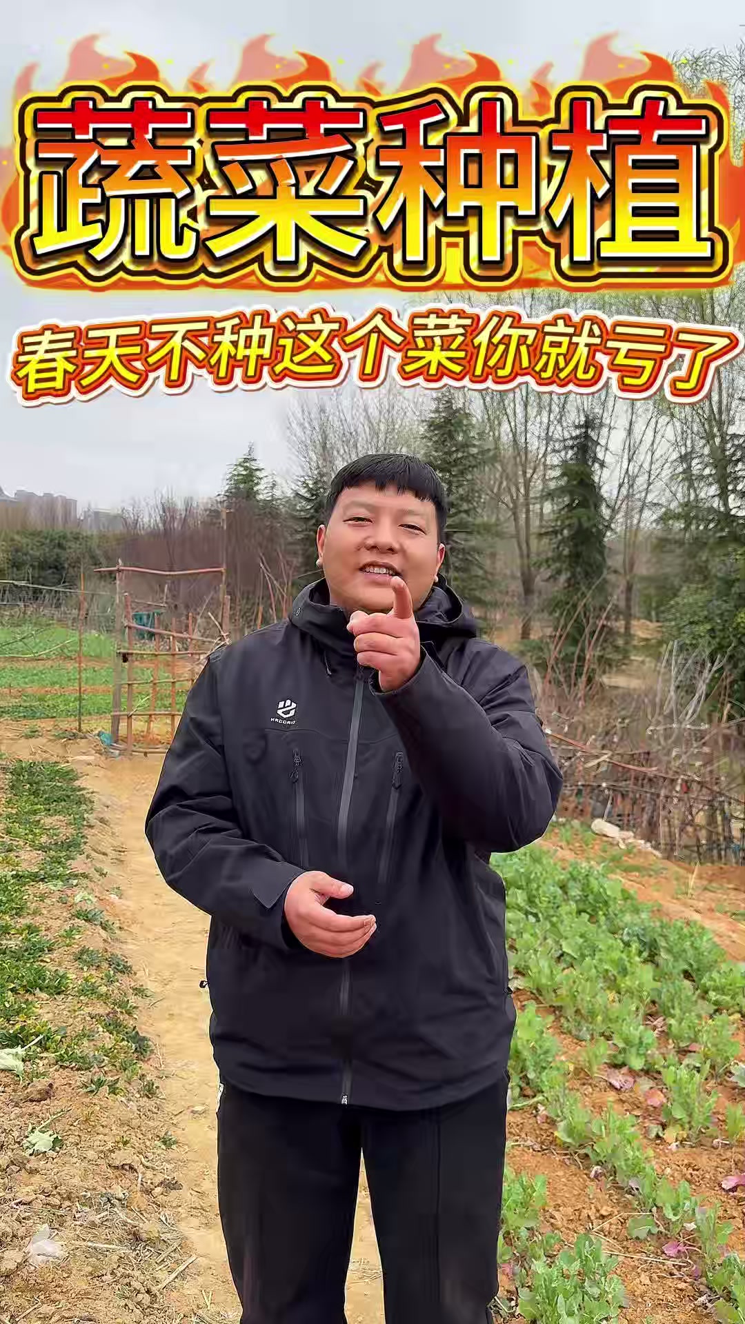 春天不种这个菜你就亏了#种菜##蔬菜种植##青菜##立春##瓜果蔬菜#