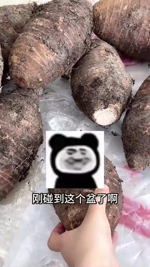 第32集｜欢迎收看裱花师的一天