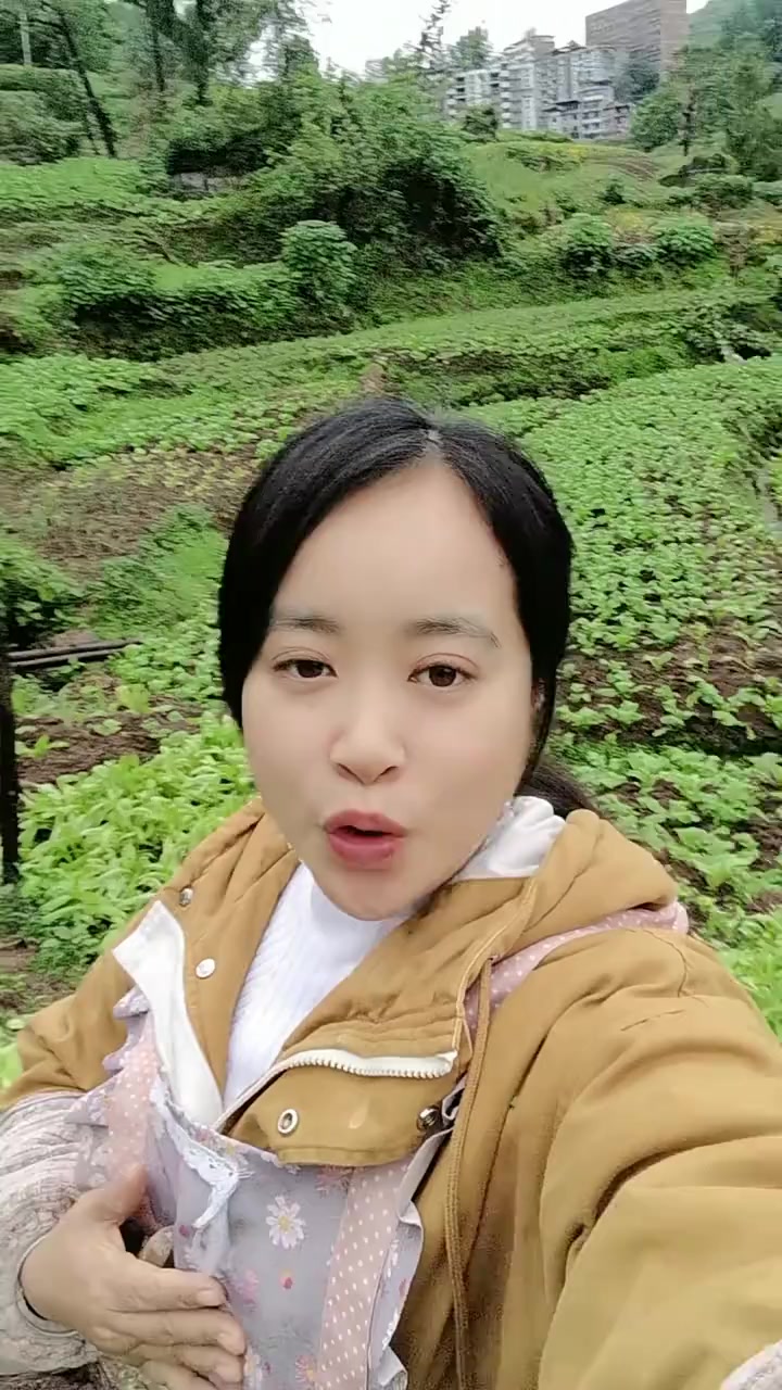 我是一个地地道道的农村人,你们愿意和我做朋友吗?如果愿意的话,有吃不完的绿色疏菜哟!
