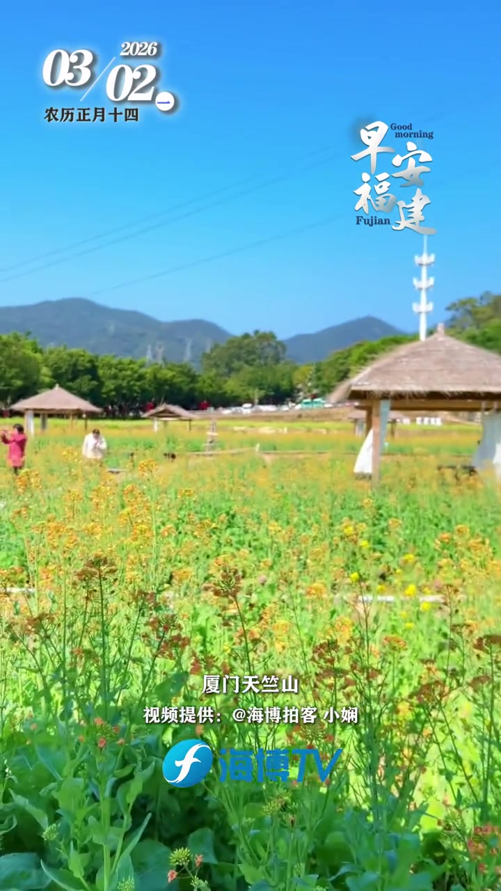 正月风轻，年味未散，春光已悄然铺展。田垄间油菜花次第绽放，金浪轻摇，染暖了清晨的风。新岁序