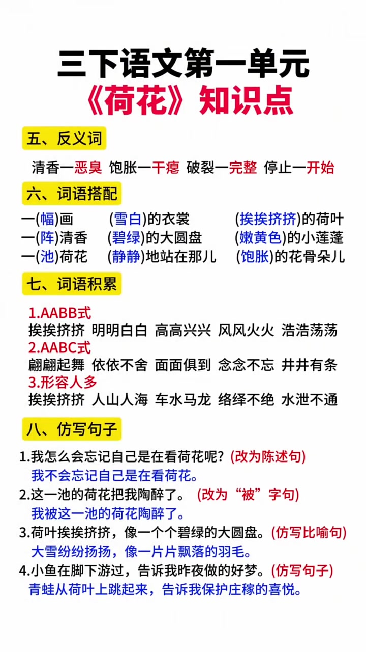 三年级下册语文第一单元《荷花》知识点总结课堂笔记！