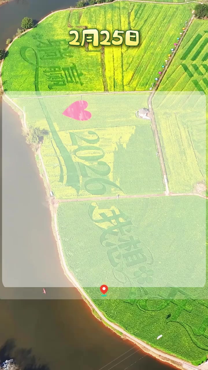 收藏!潼南油菜花海开园首日打卡攻略来了,2月25日~欢迎各位霸总、公主驾到