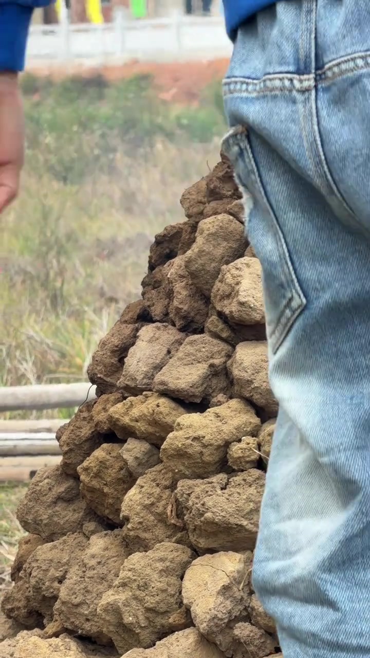 吴川窑鸡工程队