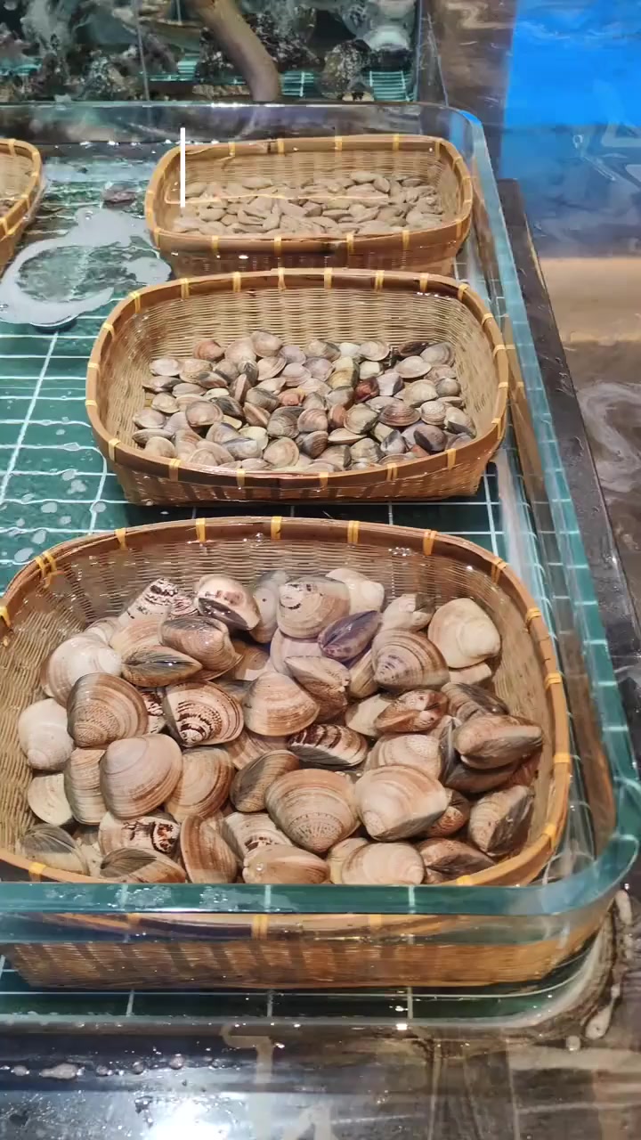 贝壳类品种都温度盐度黑金鲍鱼鲍鱼的养殖方法