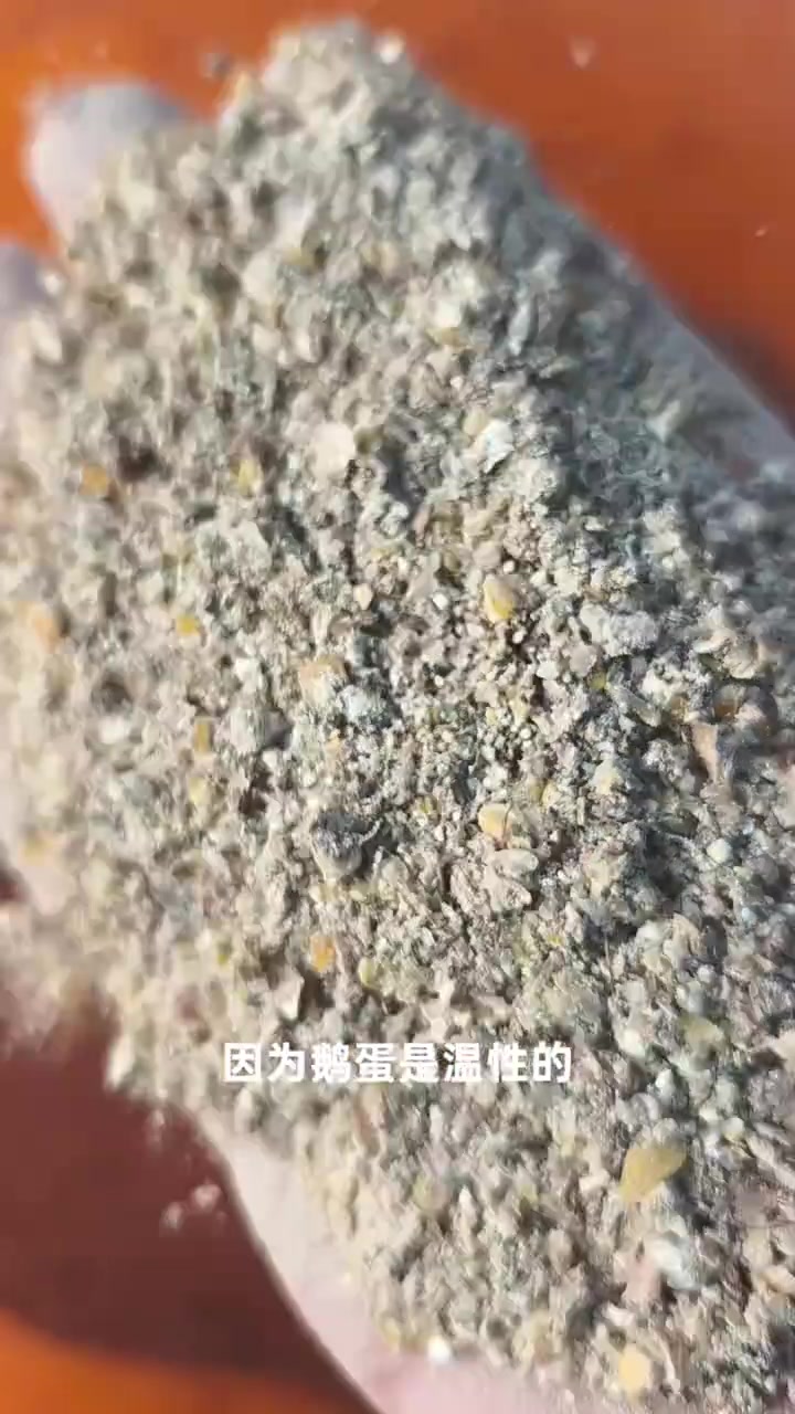 吃鹅蛋的好处真多