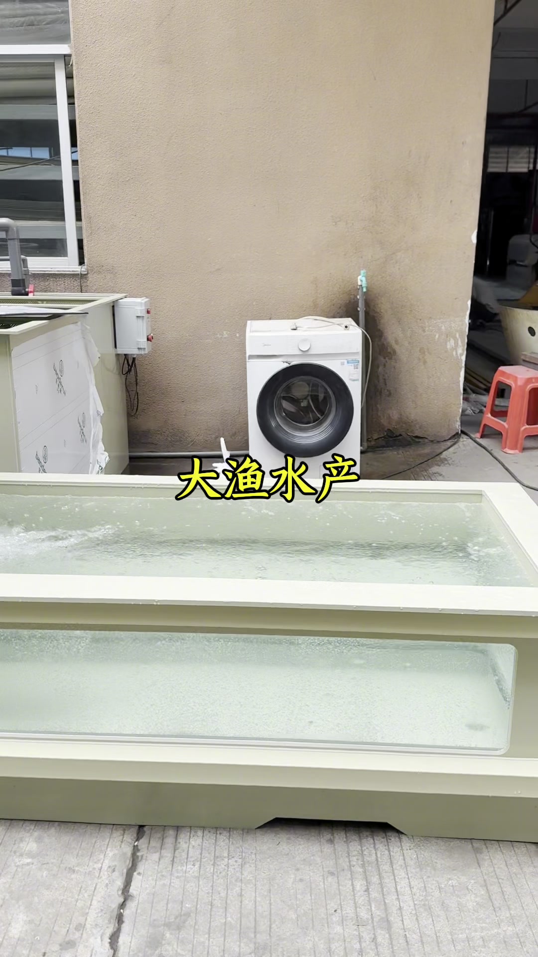 迷你小鱼池#庭院鱼池#过滤系统#水产养殖