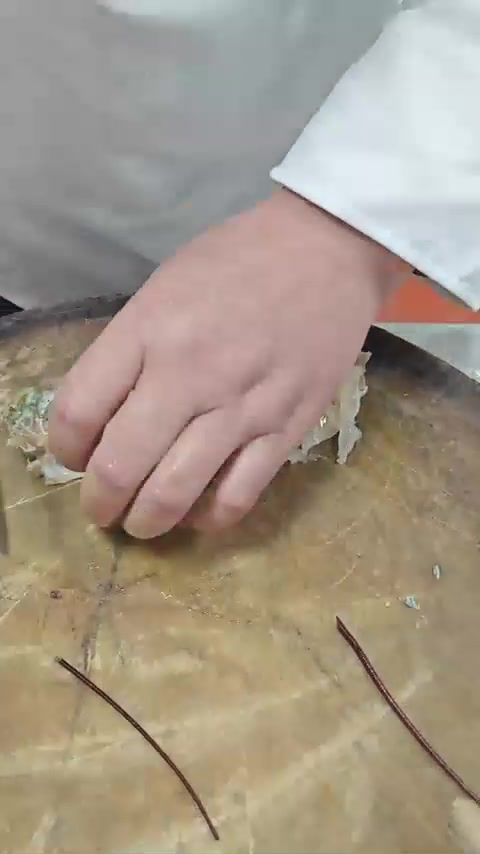 蒜蓉粉丝蒸波士顿龙虾详细做法与摆盘教程