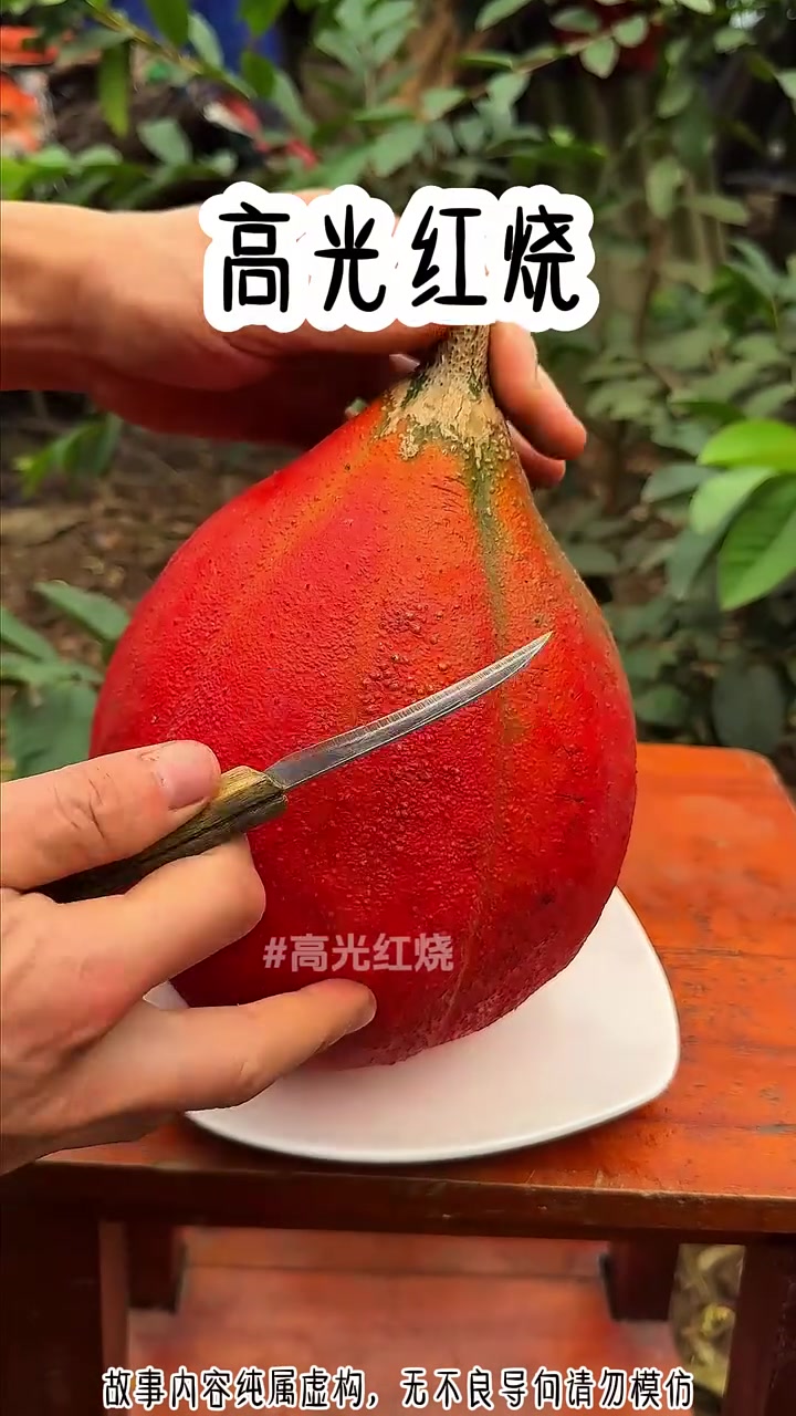 第1集｜高光红烧 #小说 #小说推荐 #宝藏小说 #开学季