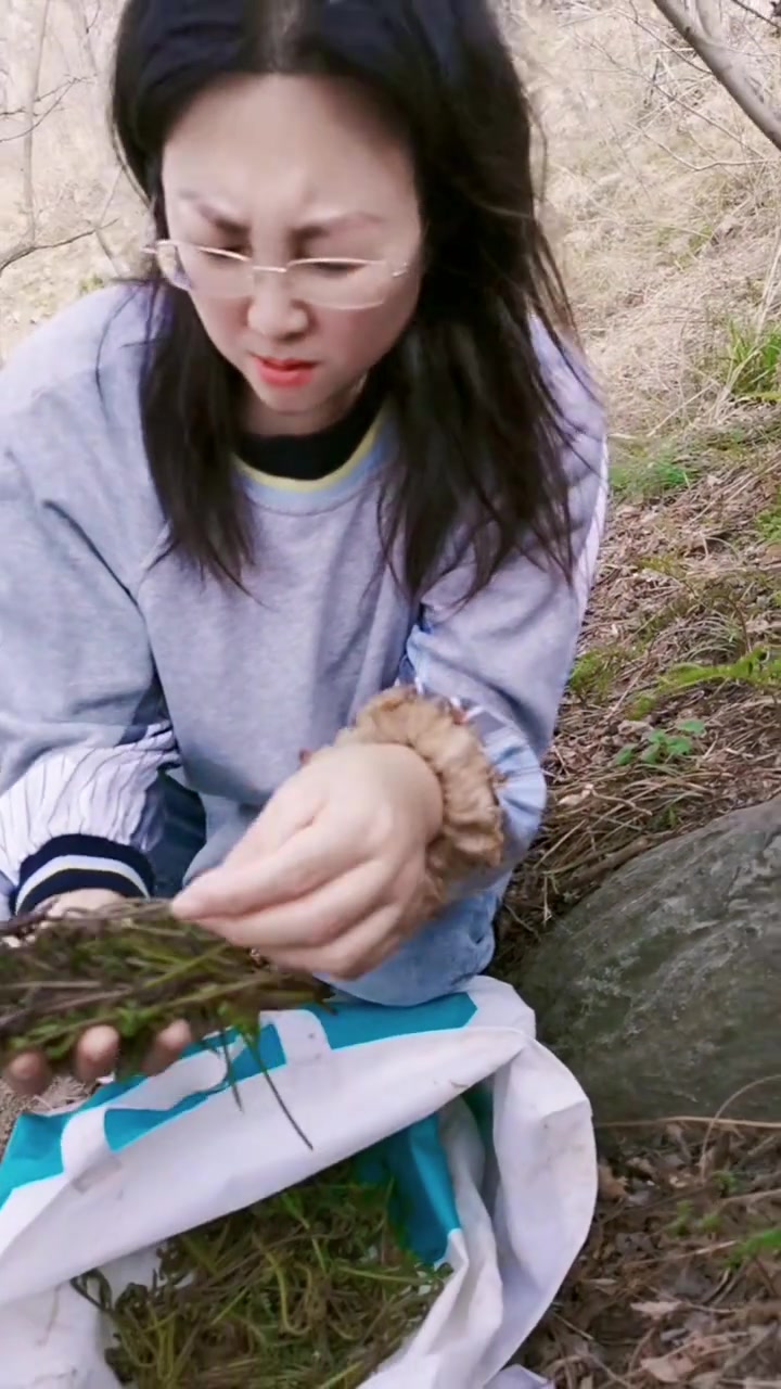 猴腿菜：农村山上的野生珍品，被誉为“山野之王”。好吃作用多，现在正当时。不当烹饪可能会存在