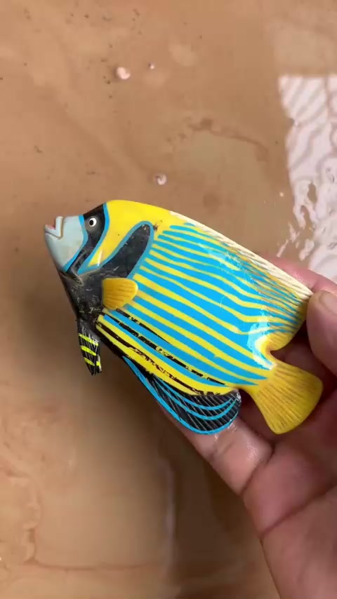 蝴蝶鱼竟然变成了一只青蛙