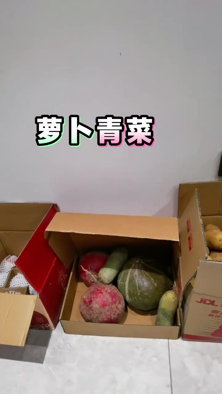 收获满满，备好过冬的无公害蔬菜