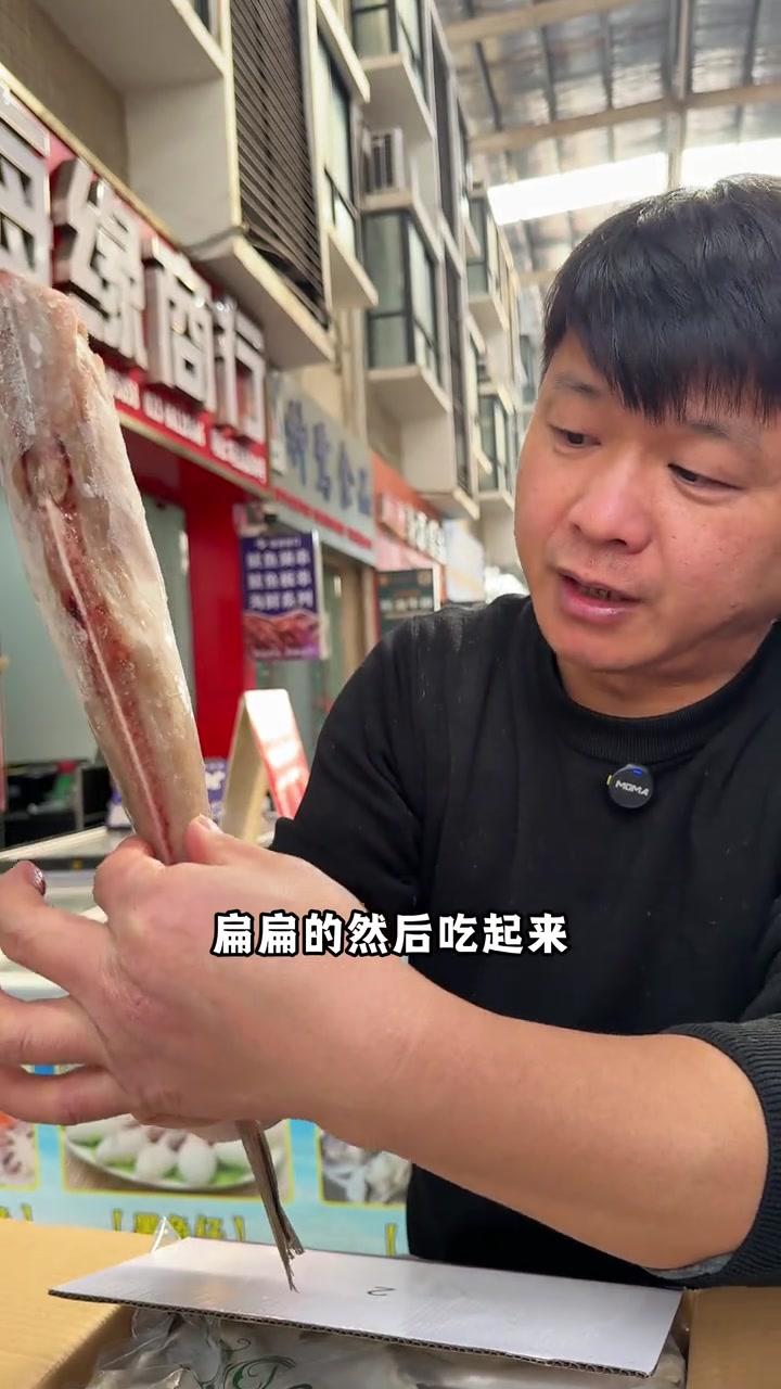 绿鳍马面鲀，各地叫法不一耗儿鱼、剥皮鱼你家乡叫什么？