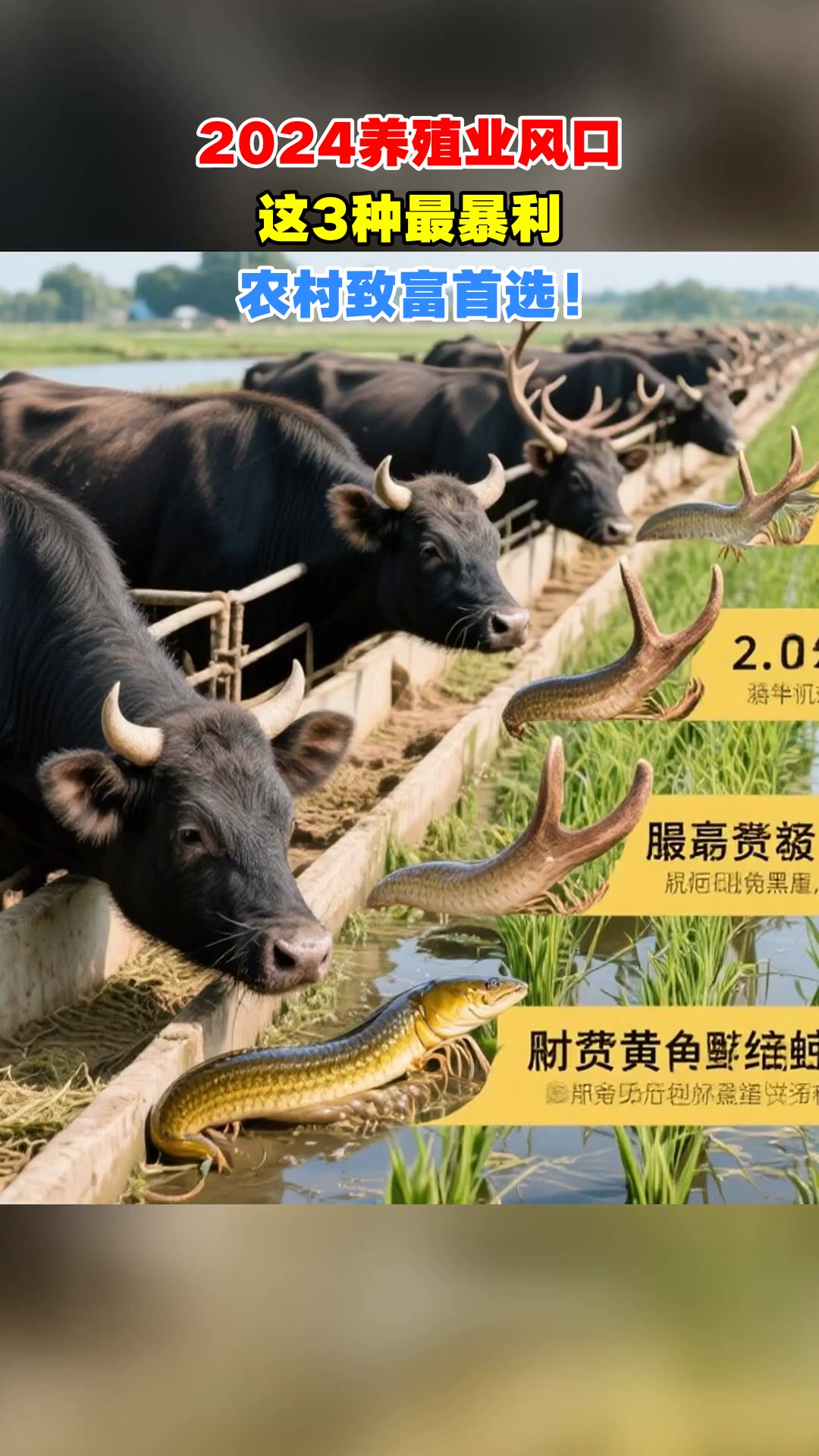 2024养殖业风口，这3种最暴利，农村致富首选！