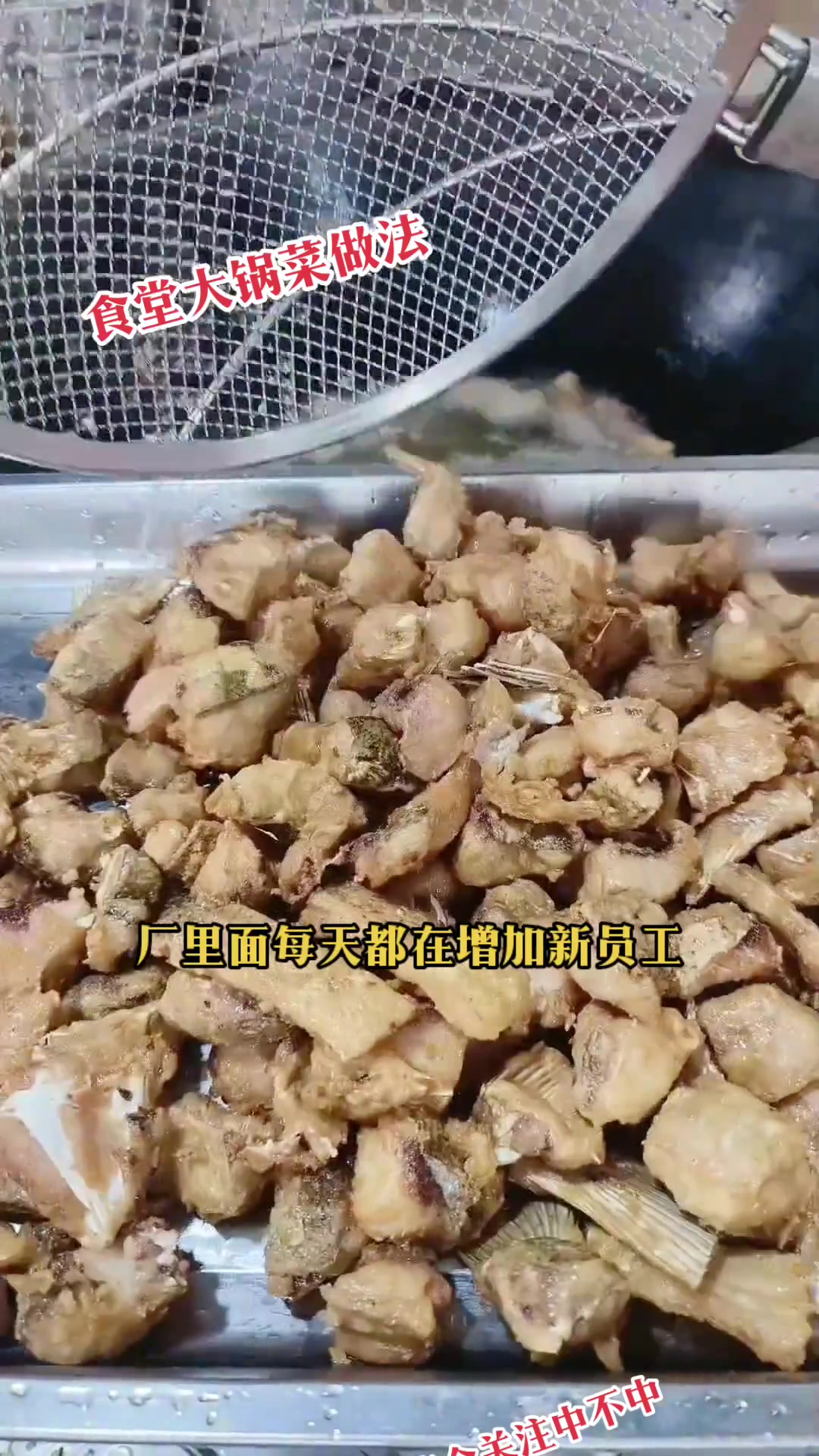 分享食堂大锅菜，四菜一汤有荤有素