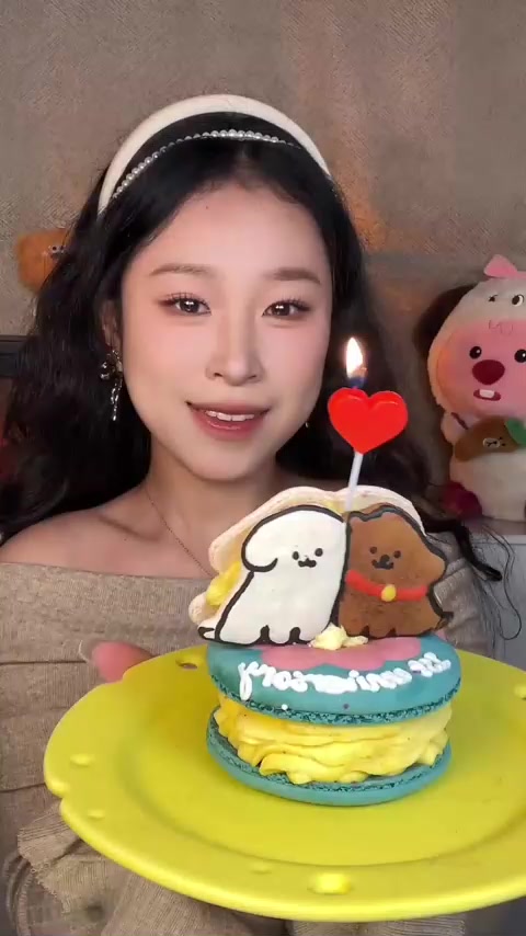 线条小狗马卡龙乳酪草莓蛋糕