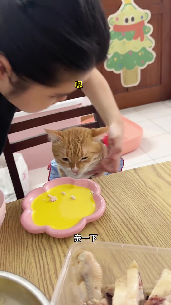 它真的好爱吃清远鸡