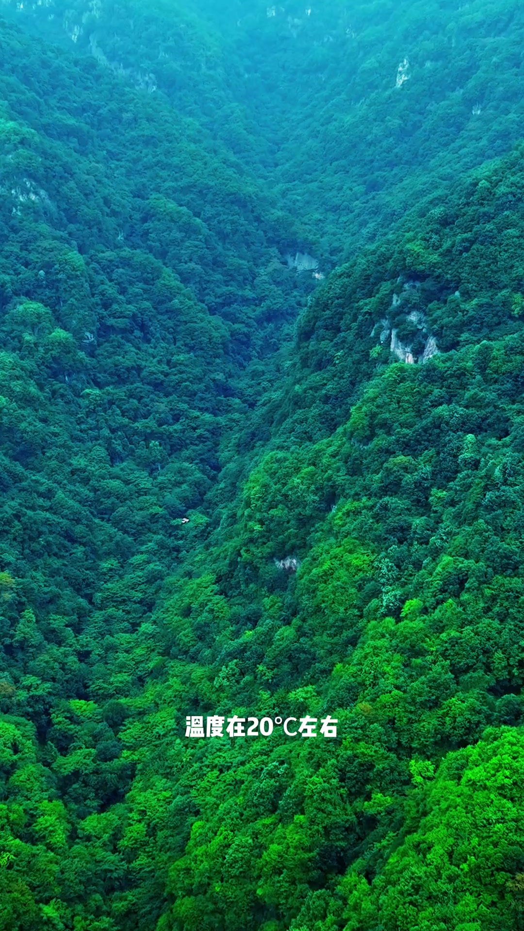 陕西宝鸡红河谷夏日20度,天然空调飞瀑秘境绝了