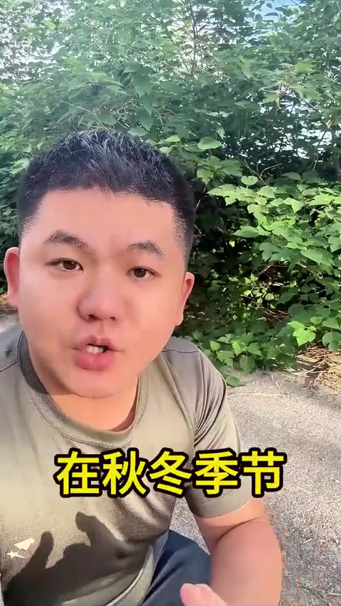 鸡鸭鹅干吃不长肉也不产蛋怎么办