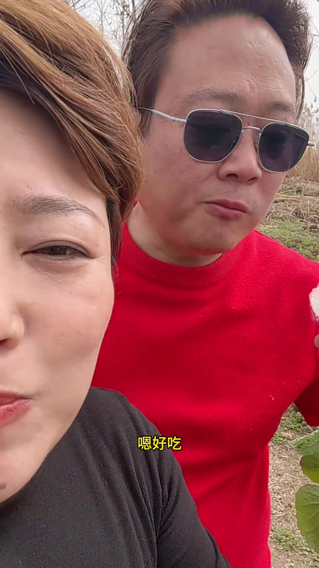归来打理菜园，采摘荠菜包饺子，平淡生活慢而温暖