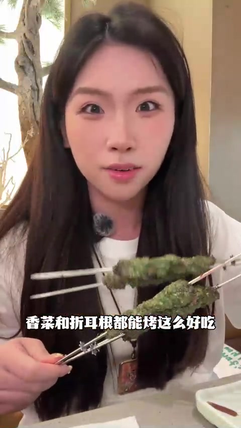 香菜牛肉串和折耳根牛肉谁敢挑战？