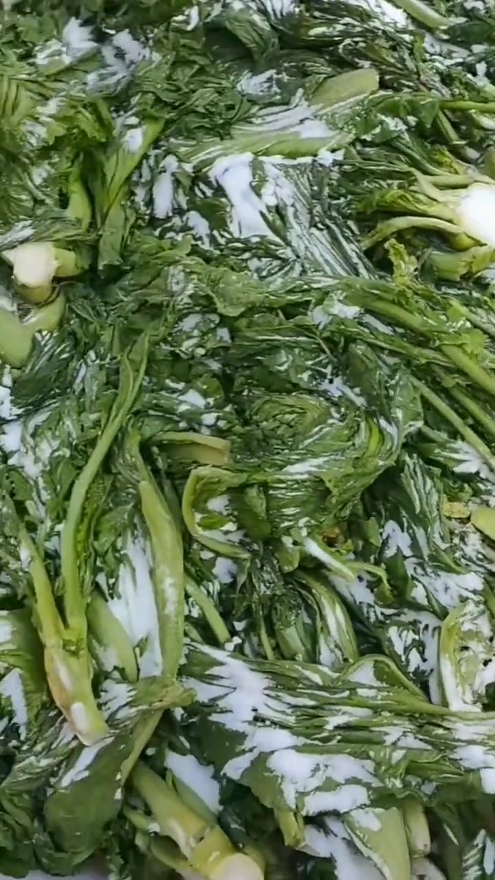 榨菜酸菜做法简单，腌一月，炒煮都香
