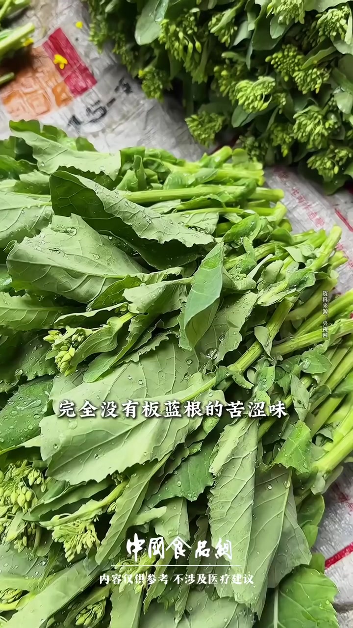 分享板蓝根青菜的健康知识宝藏
