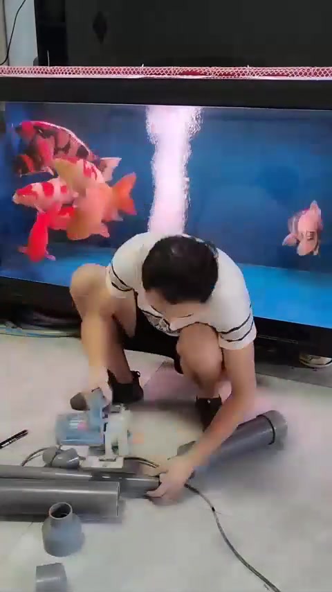 养鱼狂人拆阳台做鱼池
