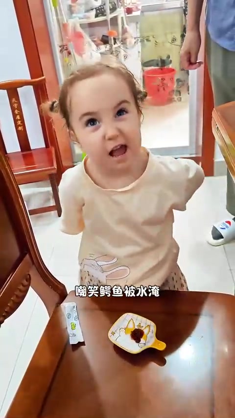 公主复习体验班学习内容。嘲笑鳄鱼被水淹