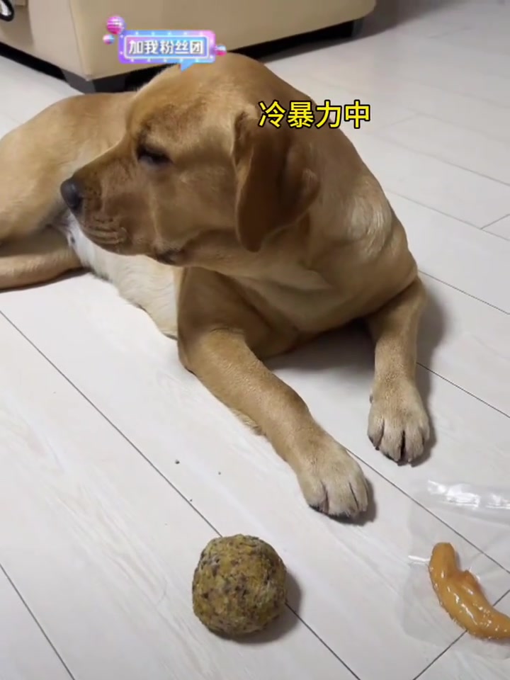 黑糖（恩师张啵啵）