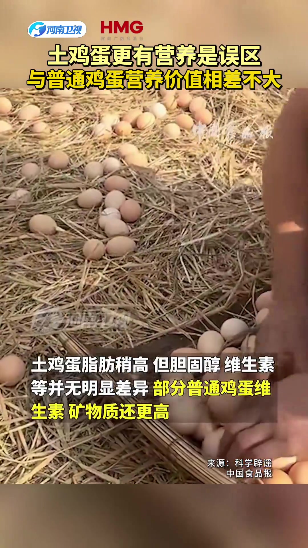 土鸡蛋更有营养是误区 与普通鸡蛋营养价值相差不大