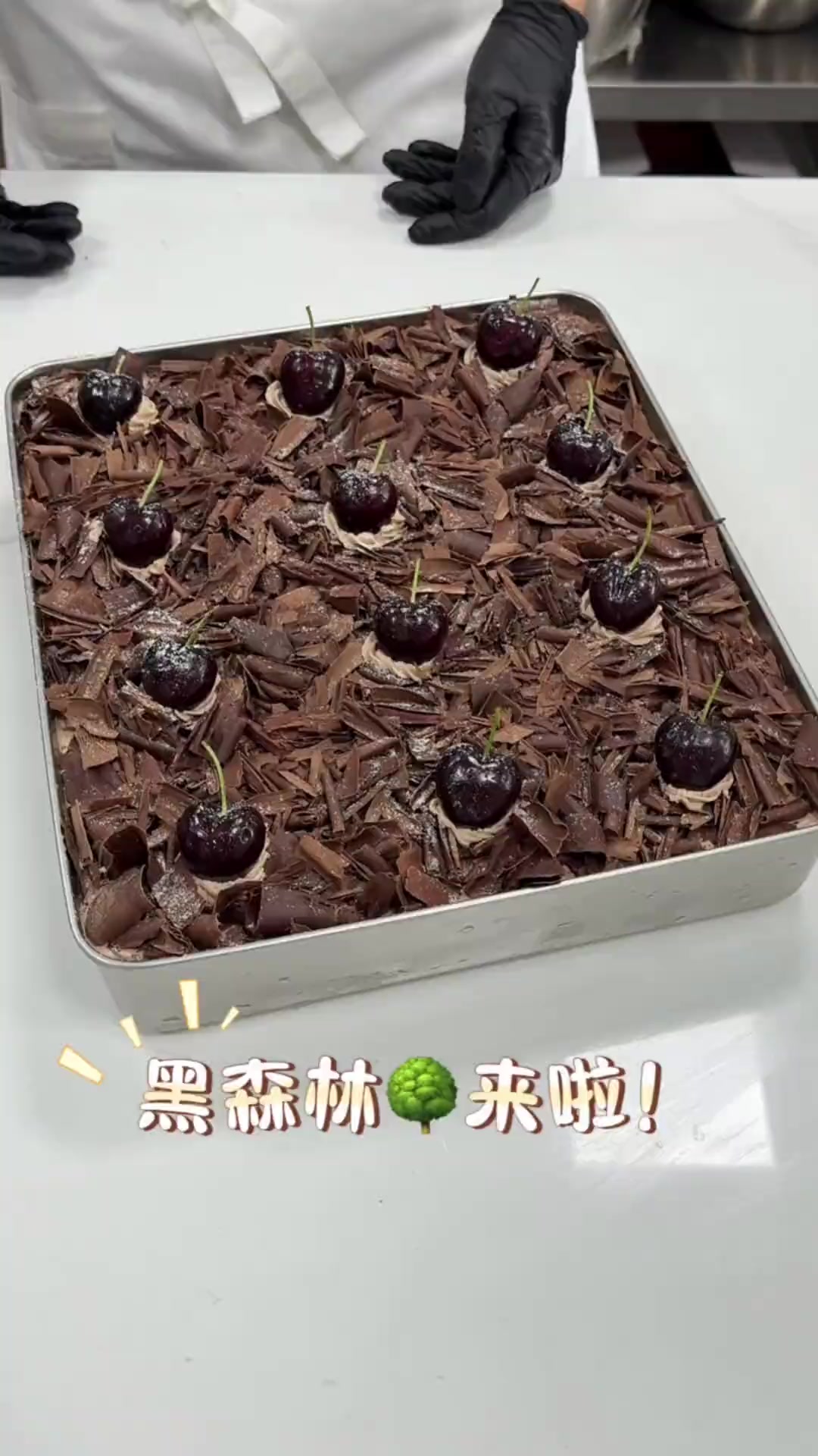 大家期待很久的黑森林提拉米苏来啦！