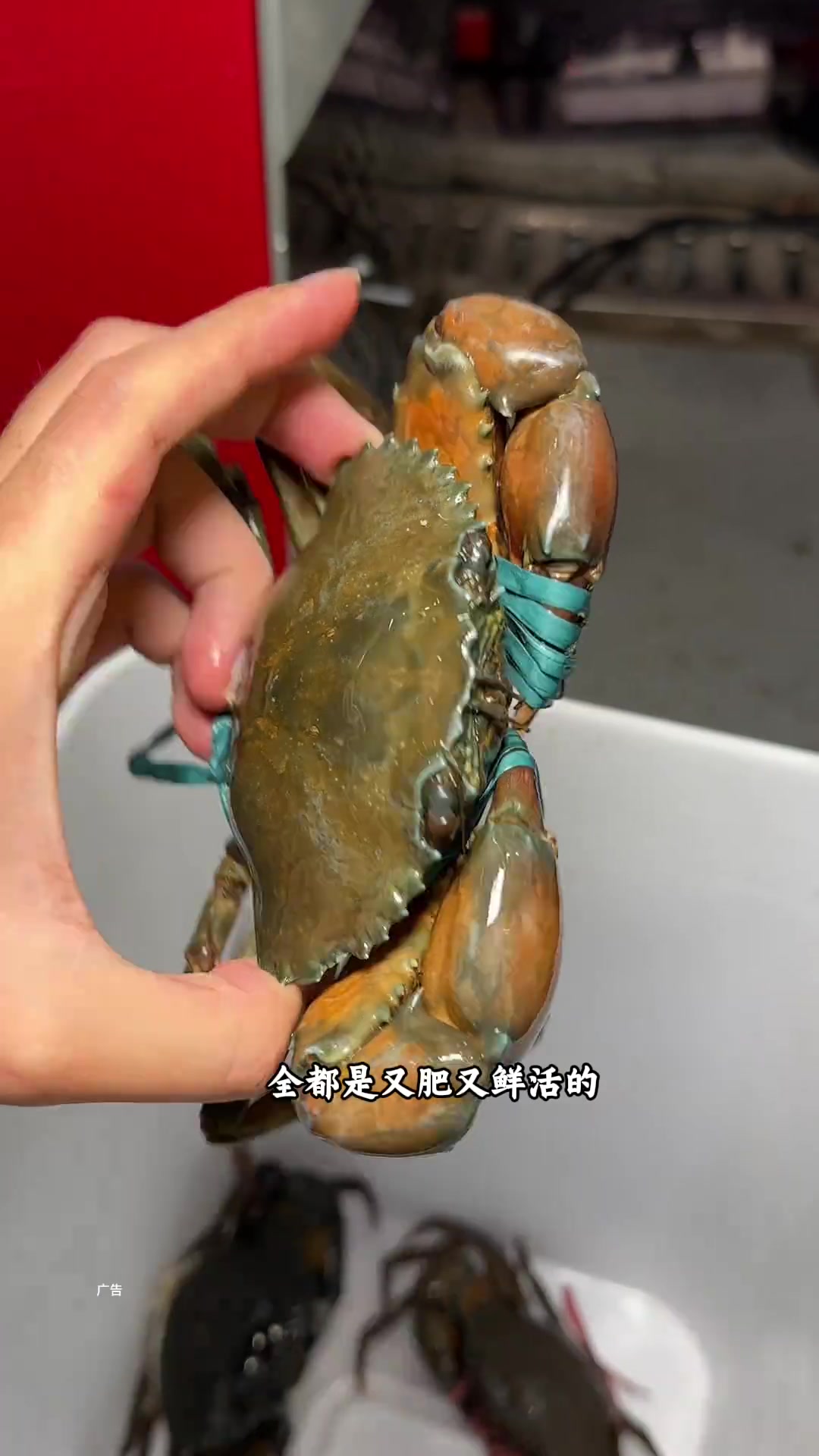 深夜偷吃活烤鳗鱼？南昌美食攻略！
