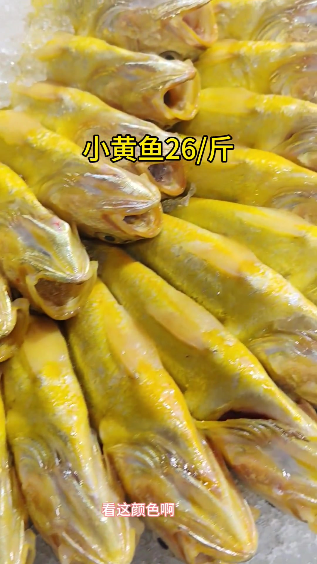 济南海鲜市场行情速报,波龙、鲈鱼、面包蟹价格一览!