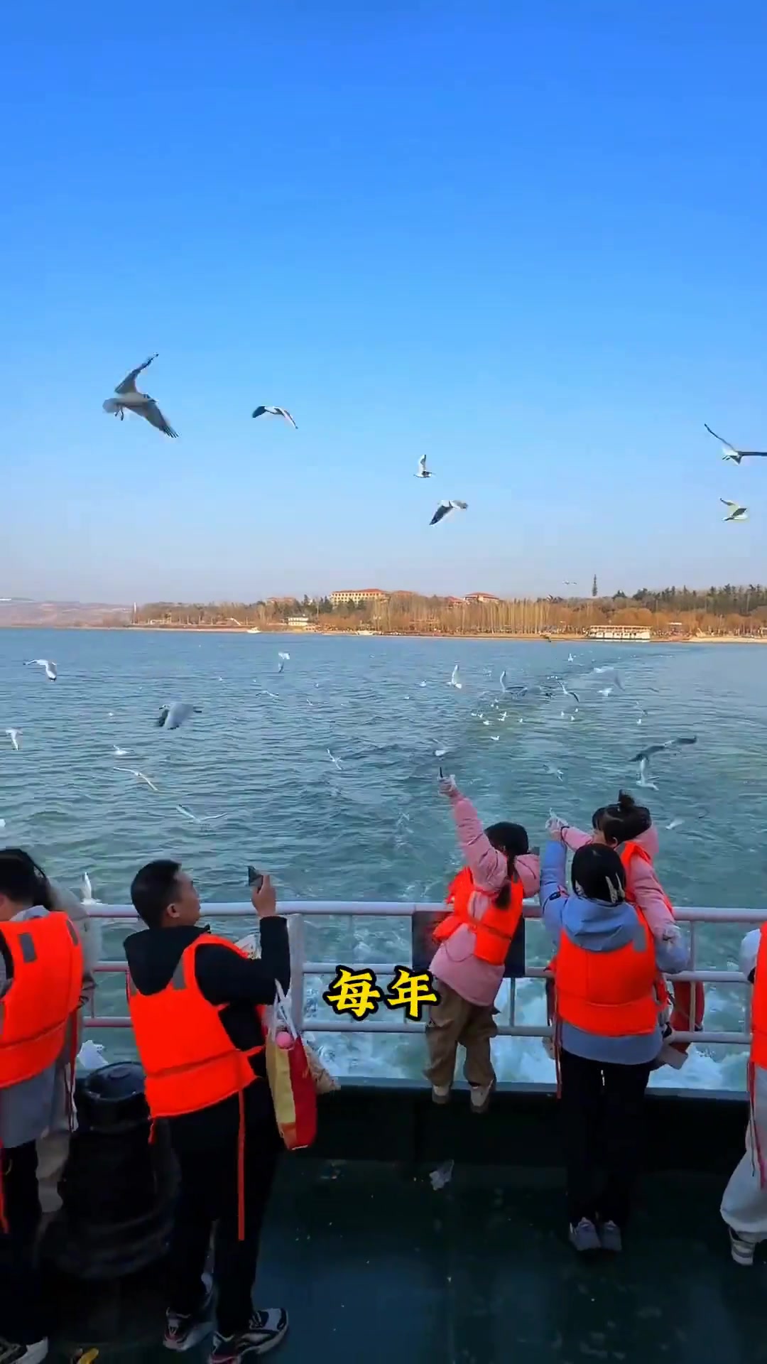 三门峡天鹅最佳观赏期周末自驾攻略