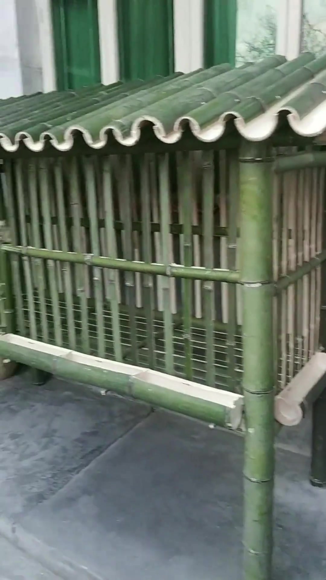 教你编竹鸡笼,传统竹编手艺入门