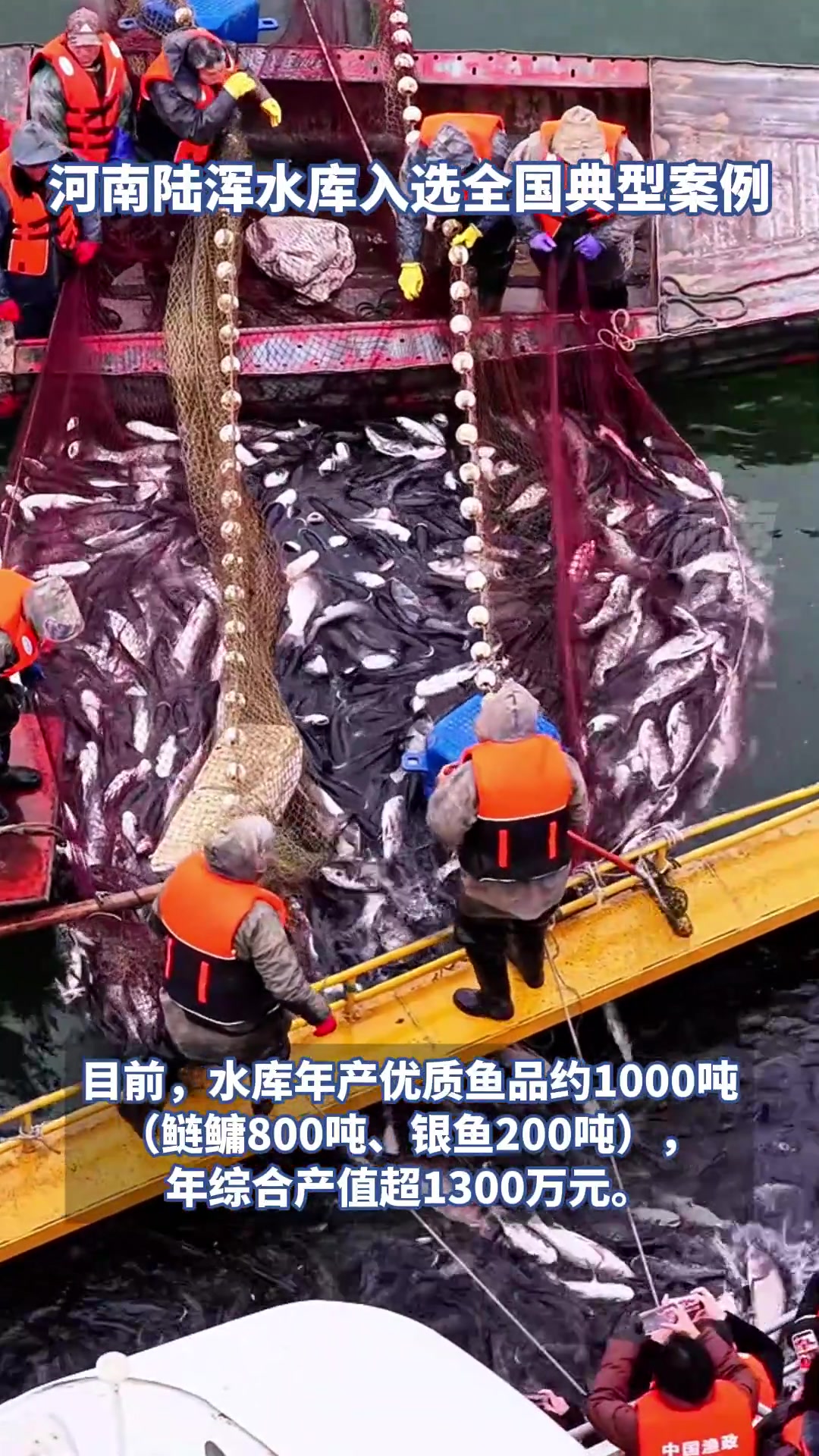 河南陆浑水库入选全国典型案例